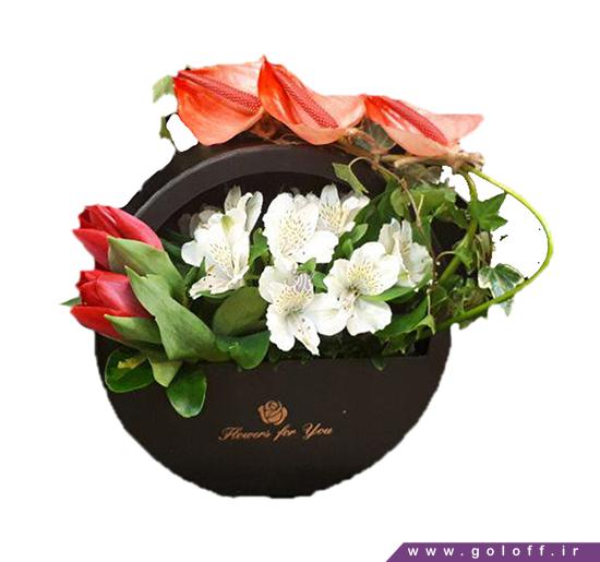 گل فروشی اصفهان - جعبه گل مارکه - Marche | گل آف